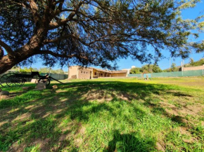 Huaco Casa de Campo, Belén